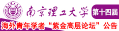 啊啊啊插进去在线播放南京理工大学第十四届海外青年学者紫金论坛诚邀海内外英才！